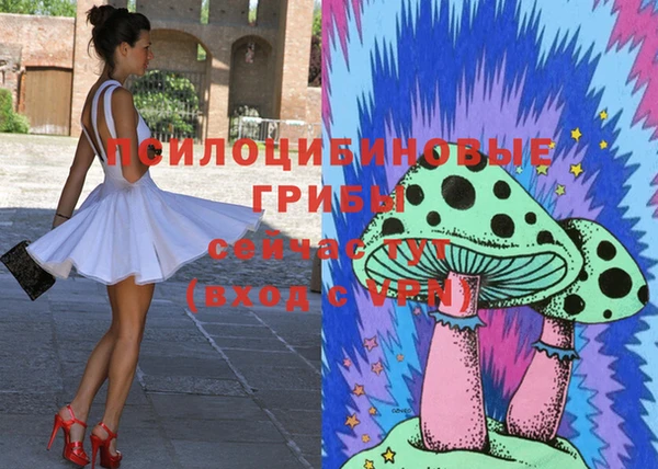 бошки Абинск