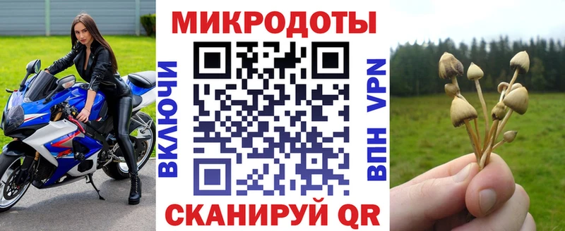 ОМГ ОМГ ссылка  что такое   Черногорск  Псилоцибиновые грибы прущие грибы 