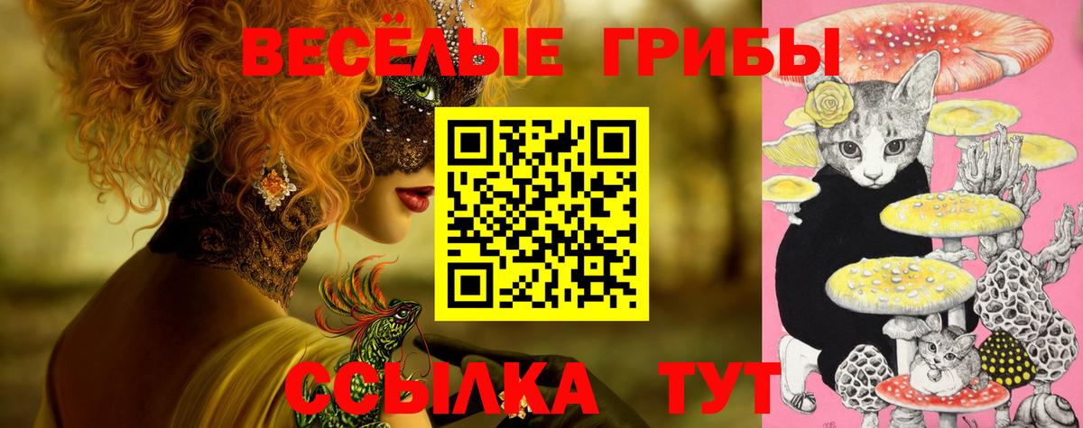 Черногорск  Галлюциногенные грибы ЛСД  Вход с VPN 